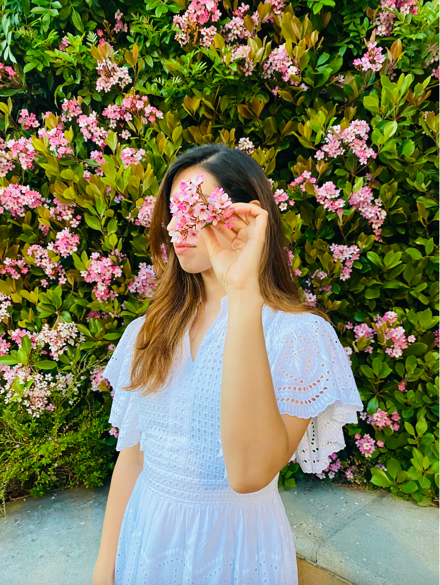 Unlock Radiant Skin: The Benefits of Centella Asiatica for Pregnancy, Eczema, Acne, and Hyperpigmentation