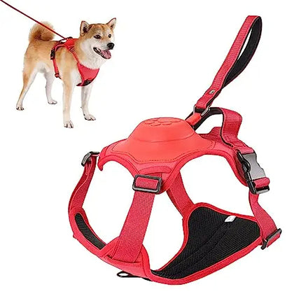 Dog harness and retractable leash kit product features infographic