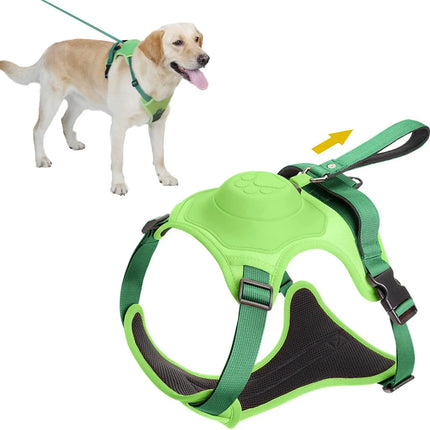 Dog harness and automatic retractable leash kit packaging contents