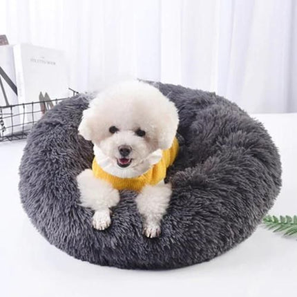 Premium cat bed with raised edges and soft washable fabric for indoor cats