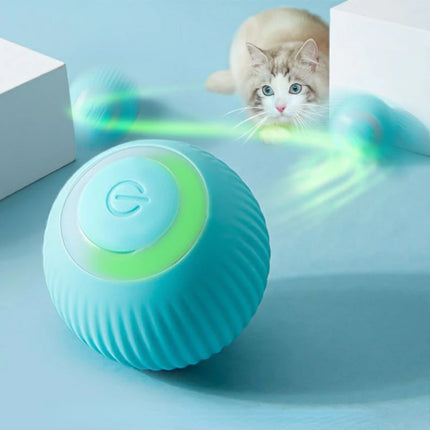 Cat playing with rolling ball toy on floor stimulating exercise