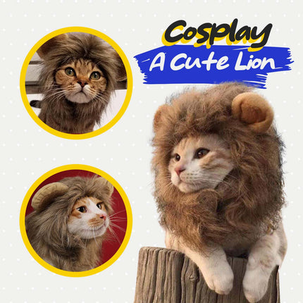 Small dog in USA CALI lion mane costume - adorable funny pet dress-up