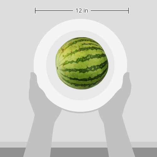 Mini Seedless Watermelon, each