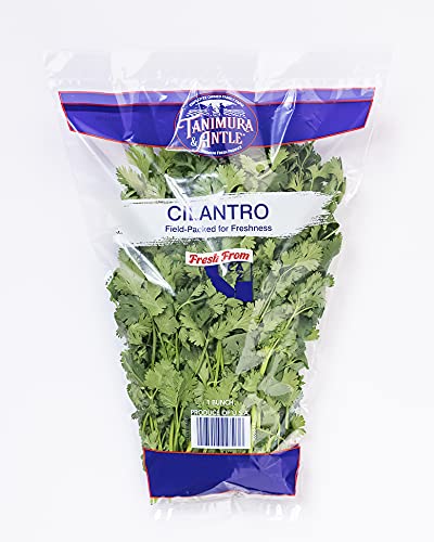Cilantro, 1 Each