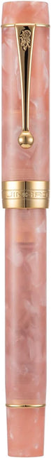Classic Pink Marble Acrylic Fine Point Fountain Pen with Converter, Gold Trim and Pen Case Set