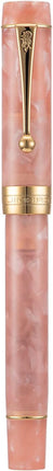 SourceToHome FuenteACasa Jinhao 100 Fountain Pen Celluloid Classic Style, #6 Nib Smooth Writing — Home & Lifestyle