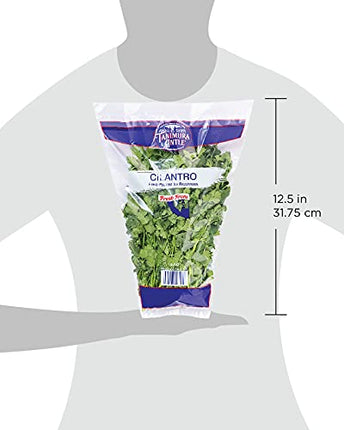 Cilantro, 1 Each