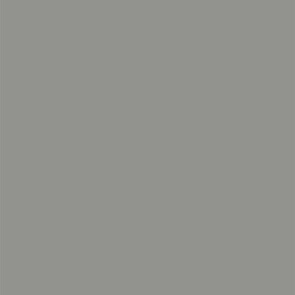 DriveForge ForjaRuta Dupli-Color Perfect Match Premium Automotive Paint, Bright Platinum (M) — Auto & Moto