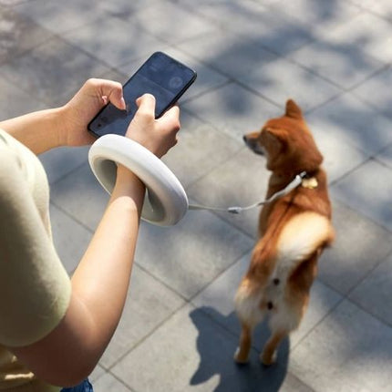 SourcetoHome Dog Leash Ring Led -  - detail view 3