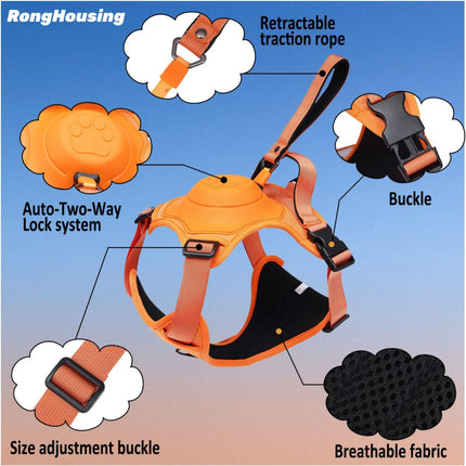 Dog harness chest strap detail with retractable leash attachment