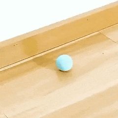 Animated rolling ball cat toy in motion demonstrating interactive play