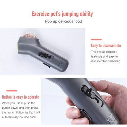 Dog Treat Launcher in use outdoors for active dog training and exercise