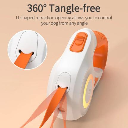 Luminous retractable dog leash glowing in the dark for safe evening walks