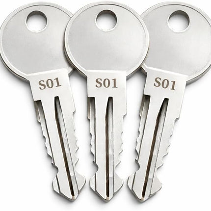 DriveForge ForjaRuta 3-Pack S10 Replacement Keys for Ford Trucks Boxlink Cleat Lock — Auto & Moto