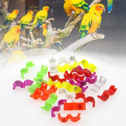 100-Piece White Numbered Plastic Bird Leg Bands, 5mm Clip-Snap Rings