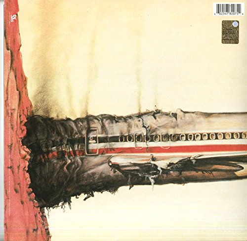 Licensed To Ill 30th Anniversary 180g LP
