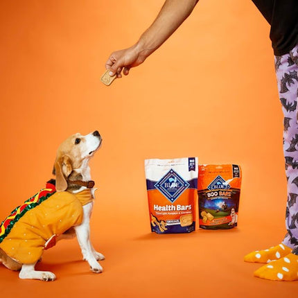 Pumpkin & Cinnamon Crunchy Oven-Baked Dog Biscuits, 16 oz