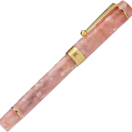 Classic Pink Marble Acrylic Fine Point Fountain Pen with Converter, Gold Trim and Pen Case Set