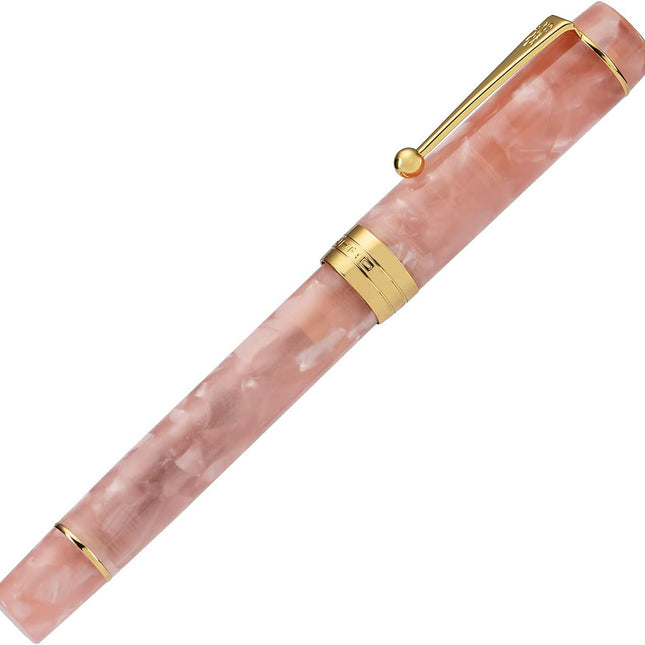 Classic Pink Marble Acrylic Fine Point Fountain Pen with Converter, Gold Trim and Pen Case Set