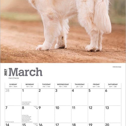 Golden Retriever Beauty & Self-Care Item