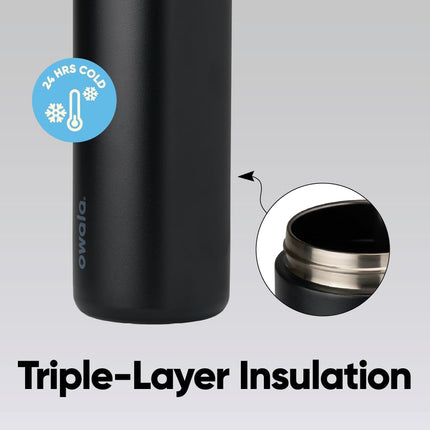 Insulated Stainless Steel Water Bottle with Straw