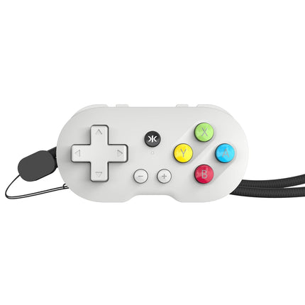PAL Grey Collectible Keychain Controller