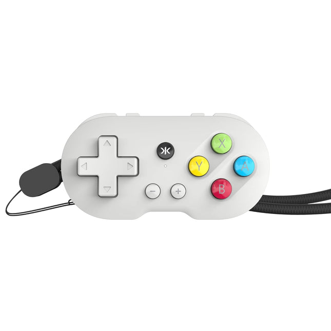 PAL Grey Collectible Keychain Controller