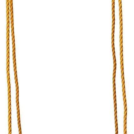 Snug 'n Secure Blue 2-in-1 Baby and Toddler Swing with Adjustable Straps