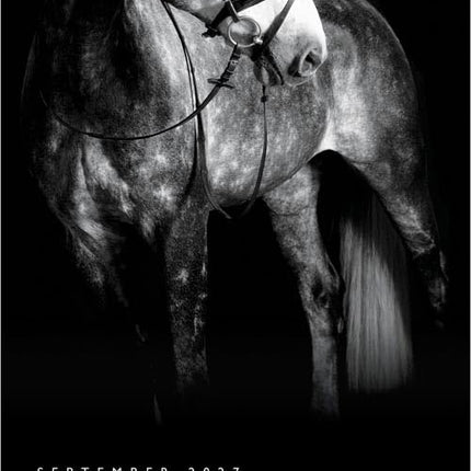 GlowEssence EsenciaLuz The BrownTrout Portrait Series: The Noble Horse — Beauty & Self-Care