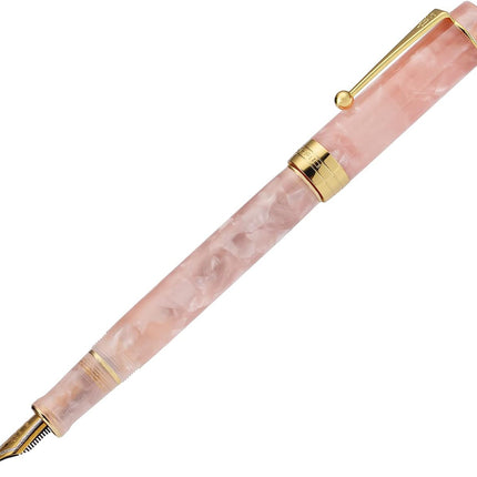 Classic Pink Medium Nib Fountain Pen with Converter and Pen Case Set