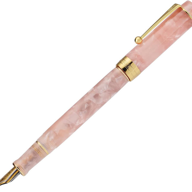 Classic Pink Medium Nib Fountain Pen with Converter and Pen Case Set