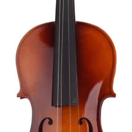 4/4 Beginner Violin for Adults, Complete Full Size Pink Violin Kit