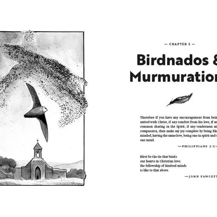 Considering Sparrows: What Birds Teach Us About Following Jesus