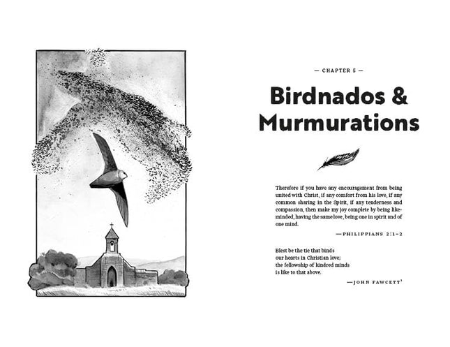 Considering Sparrows: What Birds Teach Us About Following Jesus