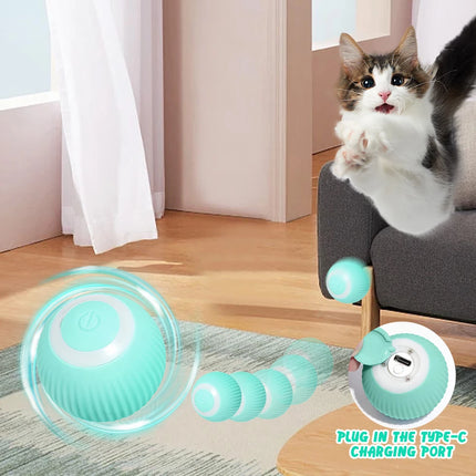 Rolling ball cat toy close-up view of durable construction and ball detail