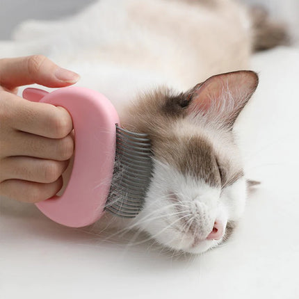 Cat enjoying relaxing massage with grooming comb reducing shedding and stress