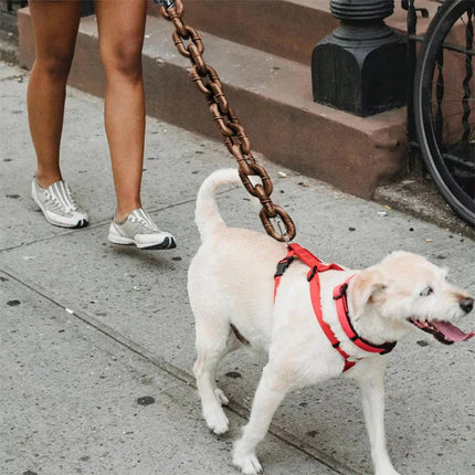 SourcetoHome Funny Dog Chain Leash -  - detail view 4