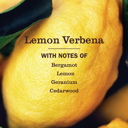 Lemon Verbena Liquid Hand Soap, 12.5 Fl Oz Bottle - 3 Pack
