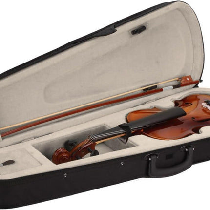 4/4 Beginner Violin for Adults, Complete Full Size Pink Violin Kit