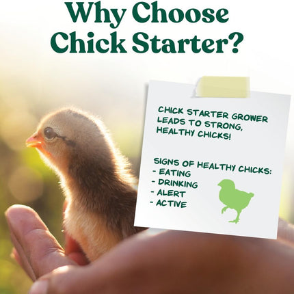 Medicated Chick Starter Grower Feed Crumbles with Amprolium, 5 lb Bag