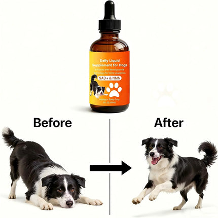 PawHaven RefugioPata Dog Longevity Supplement with NMN, NAD+, CoQ10 & Resveratrol — Pet Supplies
