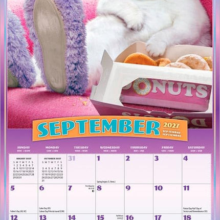 GlowEssence EsenciaLuz Avanti Cranky Kitties OFFICIAL — Beauty & Self-Care
