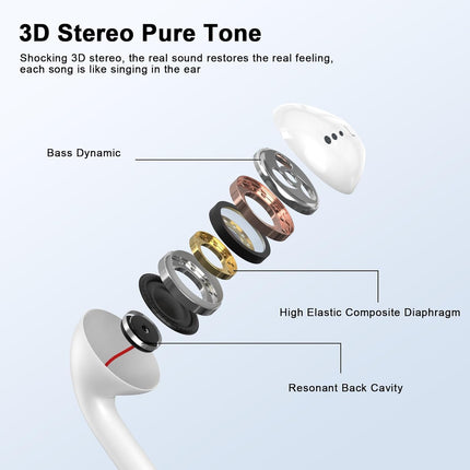 MFi Certified Wired Earbuds with Mic and Volume Control, 2 Pack