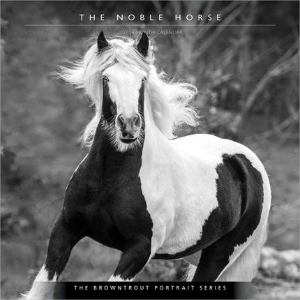 GlowEssence EsenciaLuz The BrownTrout Portrait Series: The Noble Horse — Beauty & Self-Care