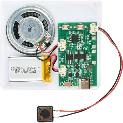 DIY Birthday Card Sound Module with Push Button and Speaker