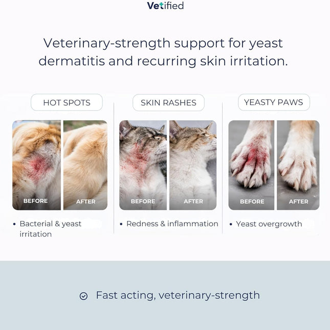 Yeast Dermatitis Spray for Dogs