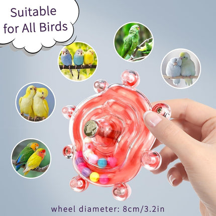 Interactive Budgie and Parakeet Training Toy