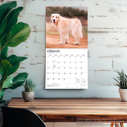 Golden Retriever Beauty & Self-Care Item
