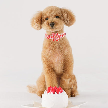 Elegant Little Tail Spring Flower Strawberry Print Adjustable Cotton Dog Collar for Small Dogs