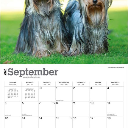 GlowEssence EsenciaLuz For the Love of Yorkshire Terriers — Beauty & Self-Care